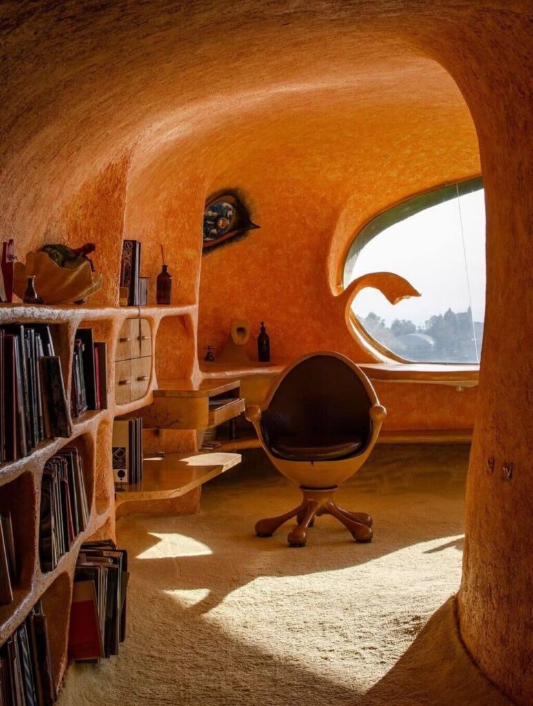 Amoeba house interior