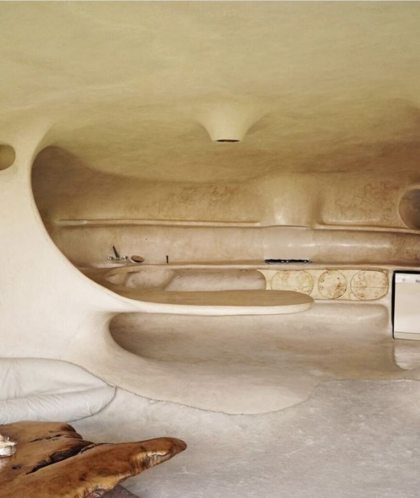 Amoeba house interior