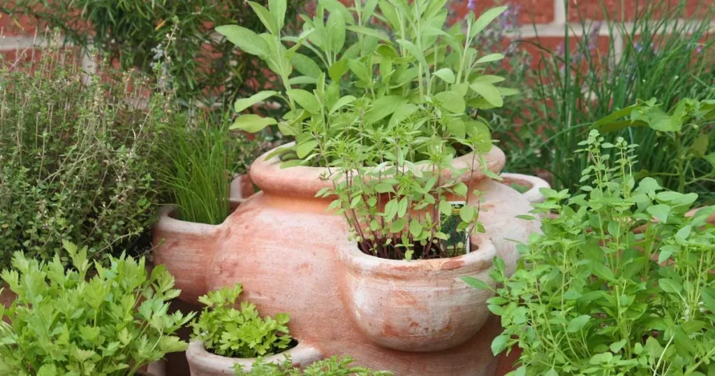 Use Containers Strategically