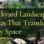 Backyard Landscape Ideas